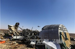 Xác định các nhóm liên quan tới vụ máy bay Nga rơi tại Sinai